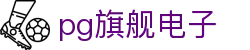 pg旗舰电子 - (中国)益阳pg旗舰电子科技有限责任公司欢迎您